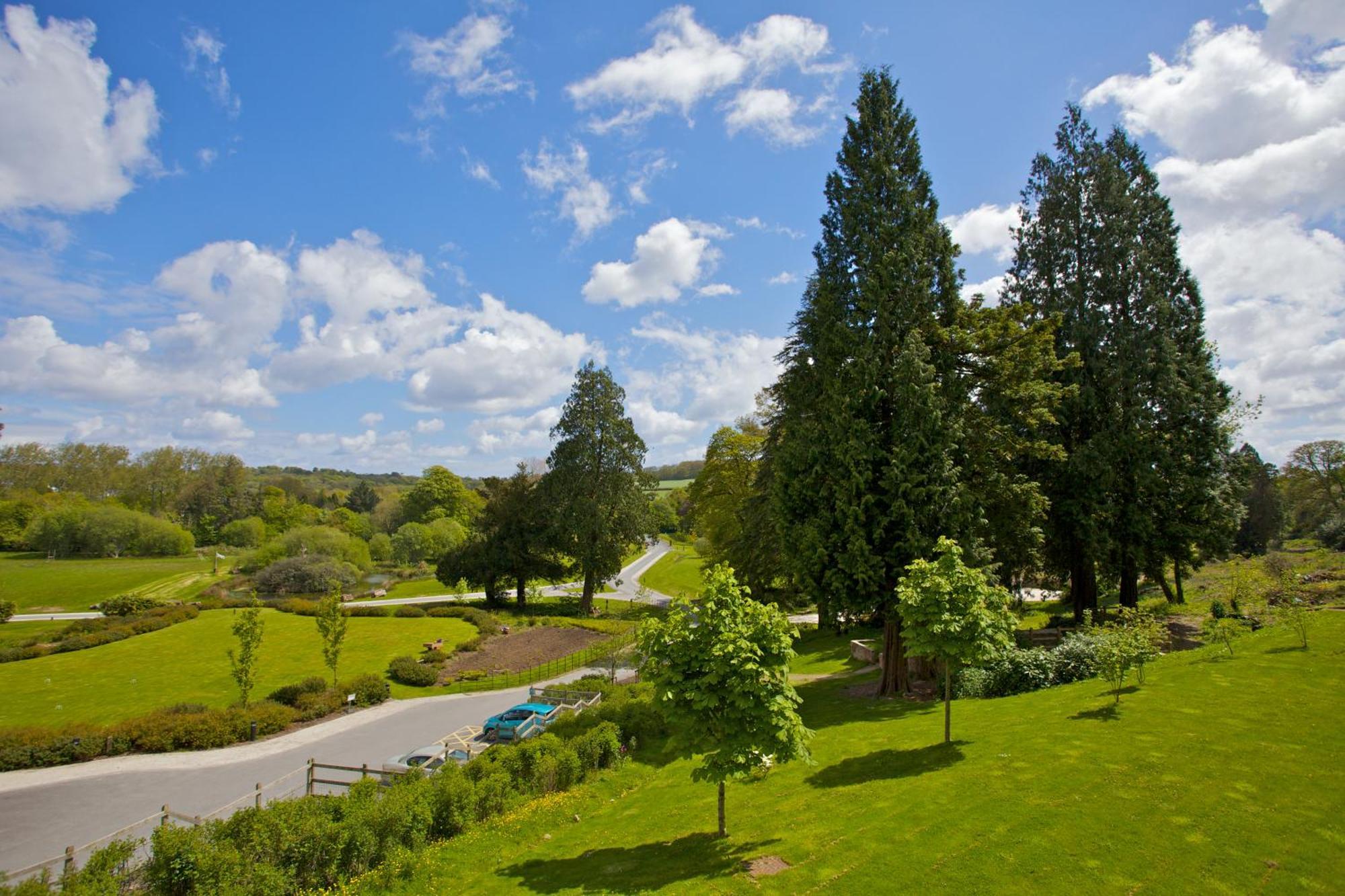 The Cornwall Hotel Spa & Lodges Сент-Остел Экстерьер фото